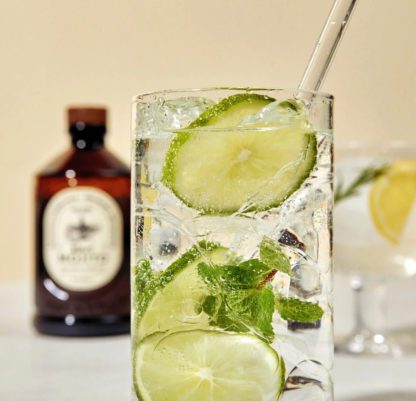 Sirop bio - Mojito