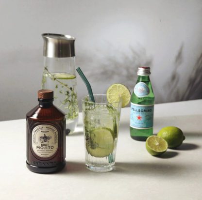 Sirop bio - Mojito