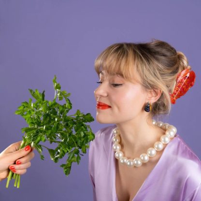 Pince à cheveux - Homard